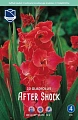 Гладиолус After Shock, 10 шт (Lefeber) Гладиолус After Shock, 10 шт (Lefeber)