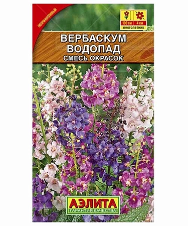 Вербаскум Водопад 0,1 г (АЭЛИТА) Вербаскум Водопад 0,1 г (АЭЛИТА)