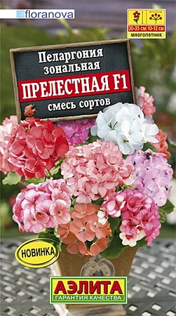 Пеларгония Прелестная F1, смесь сортов, 5 шт