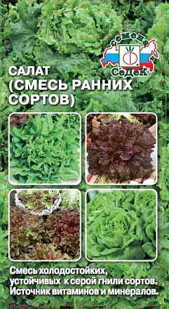 Салат Смесь ранних сортов, 1 г (Седек) Салат Смесь ранних сортов, 1 г (Седек)
