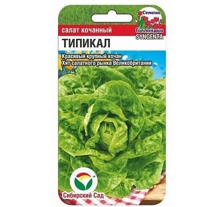 Салат Типикал 10шт (Сиб Сад)