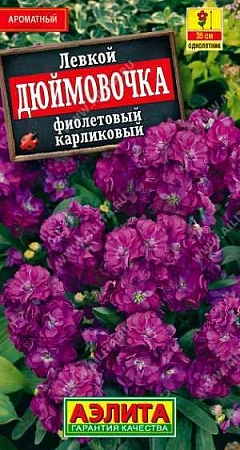 Левкой карликовый Дюймовочка фиолетовый 0,1 г (АЭЛИТА)