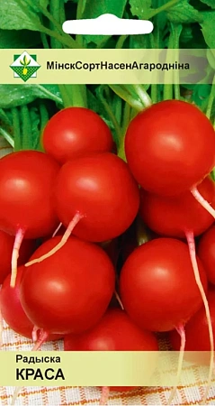 Редис Краса, 2 г (МССО)
