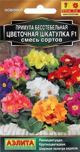 Примула Цветочная шкатулка F1 многолетник, смесь 5 шт (Аэлита) Примула Цветочная шкатулка F1 многолетник, смесь 5 шт (Аэлита)
