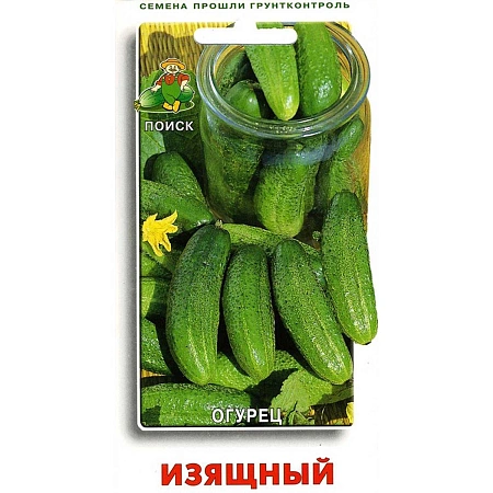 Огурец Изящный, 15 шт (Поиск)