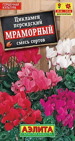 Цикламен персидский Мраморный, смесь сортов 3 шт Цикламен персидский Мраморный, смесь сортов 3 шт