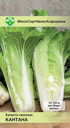 Капуста пекинская Кантона, 0,5 г (МССО) Капуста пекинская Кантона, 0,5 г (МССО)