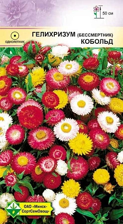 Гелихризум прицветниковый Кобольд 0,3 г (МССО) Гелихризум прицветниковый Кобольд 0,3 г (МССО)