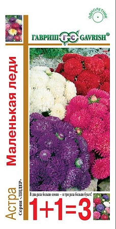 Астра Маленькая леди, смесь 0,6 г