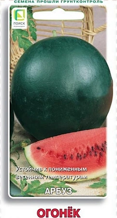 Арбуз Огонек, 15 шт (Поиск) Арбуз Огонек, 15 шт (Поиск)