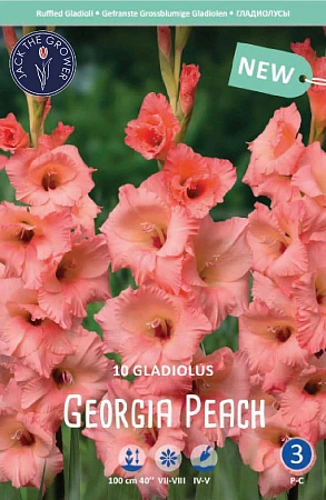 Гладиолус Georga Peach, 10 шт (Lefeber)