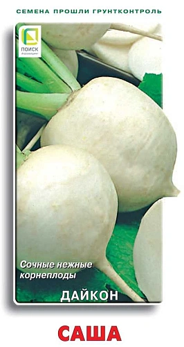 Дайкон Саша, 1 г (Поиск) Дайкон Саша, 1 г (Поиск)