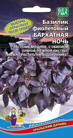 Базилик Бархатная ночь фиолетовый (УД)