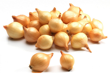 Лук-севок Штутгартер Ризен, 1 кг