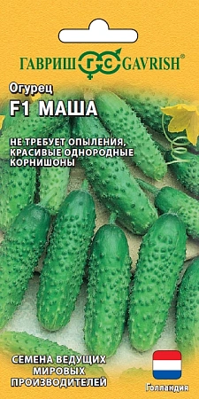 Огурец Маша F1 5 шт (Голландия)