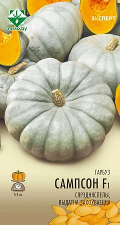 Тыква Сампсон F1, 5 шт (Эксперт) (МССО)