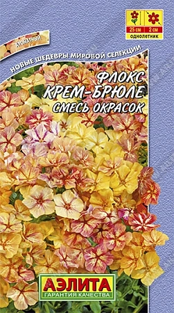 Флокс Крем-брюле, смесь 0,3 г
