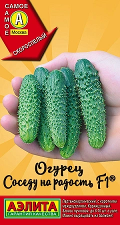 Огурец Соседу на радость F1, 10 шт Огурец Соседу на радость F1, 10 шт