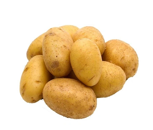 Картофель Коломбо семенной (элита), 5 кг Картофель Коломбо семенной (элита), 5 кг