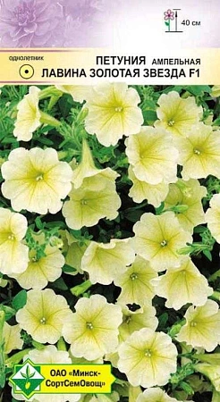 Петуния гибридная ампельная Лавина золотая звезда F1, 7 шт (МССО) Петуния гибридная ампельная Лавина золотая звезда F1, 7 шт (МССО)