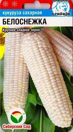 Кукуруза Белоснежка, 10 шт