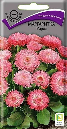 Маргаритка Мария, 0,05 г (Поиск) Маргаритка Мария, 0,05 г (Поиск)