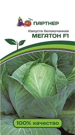 Капуста белокочанная Мегатон F1 (10 шт), 2-ной пак.