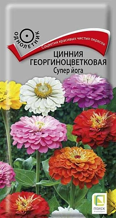 Цинния Супер Йога, смесь 10 шт (Поиск)