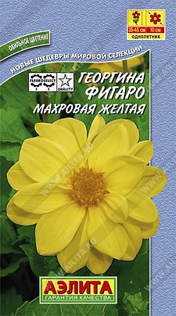 Георгина Фигаро махровая желтая, 7 шт (АЭЛИТА)