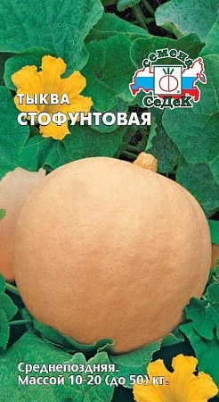 Тыква Стофунтовая, 2 г