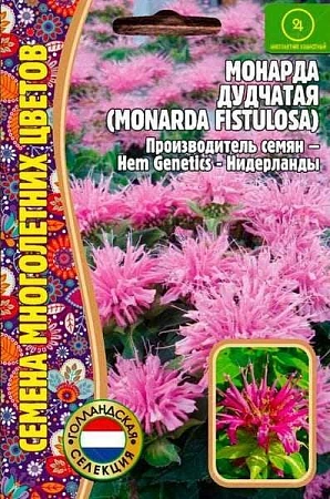 Монарда дудчатая 0,1 г (Ред сем)