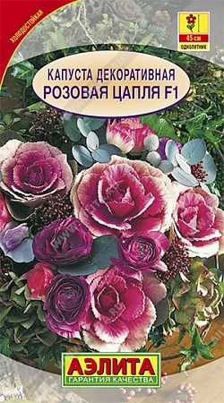 Капуста декоративная Розовая Цапля, 7 шт