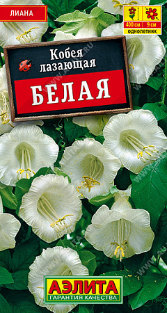 Кобея белая, 0,45 г (Аэлита)