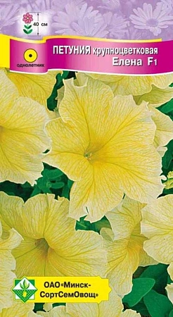 Петуния гибридная крупноцветная Елена F1, 10 шт (МССО) Петуния гибридная крупноцветная Елена F1, 10 шт (МССО)