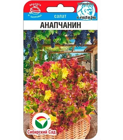 Салат Анапчанин 0,5гр (Сиб Сад)