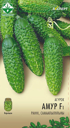 Огурец Амур F1, 10 шт (Эксперт) (МССО)