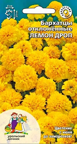Бархатцы Лемон дроп отклоненные (УД) Бархатцы Лемон дроп отклоненные (УД)