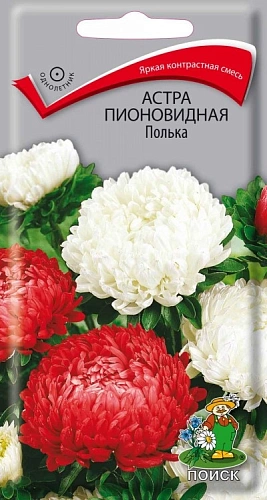 Астра пионовидная Полька 0,3 г Астра пионовидная Полька 0,3 г
