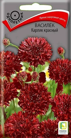 Василек Карлик красный 0,1 г (Поиск) Василек Карлик красный 0,1 г (Поиск)