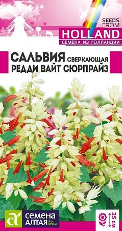 Сальвия Редди Вайт Сюрпрайз, 5 шт Сальвия Редди Вайт Сюрпрайз, 5 шт