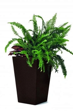Кашпо Large Rattan Planter -jrdbrw-castorama