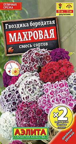 Гвоздика турецкая махровая, смесь сортов 0,2 г (Аэлита) Гвоздика турецкая махровая, смесь сортов 0,2 г (Аэлита)