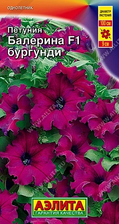 Петуния Балерина бургунди крупноцветковая, 7 шт (АЭЛИТА) Петуния Балерина бургунди крупноцветковая, 7 шт (АЭЛИТА)