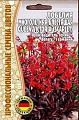 Лобелия Queen Victoria Scarlet многолетник, 5 шт (Ред.сем) Лобелия Queen Victoria Scarlet многолетник, 5 шт (Ред.сем)
