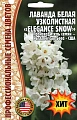 Лаванда белая Elegance Snow, 5 шт (Ред.сем) Лаванда белая Elegance Snow, 5 шт (Ред.сем)