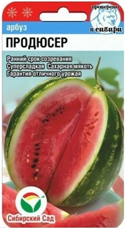 Арбуз Продюсер, 4 шт (Сиб Сад)