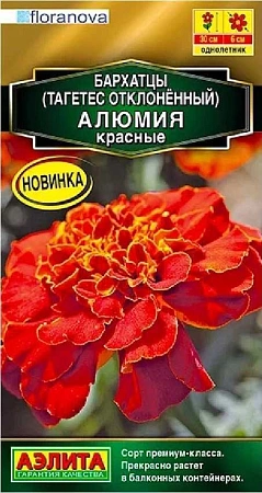 Бархатцы Алюмия красные, 7 шт (Аэлита)
