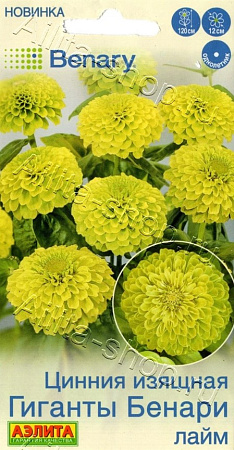 Цинния Гиганты Бенари лайм 7 шт (АЭЛИТА) Цинния Гиганты Бенари лайм 7 шт (АЭЛИТА)