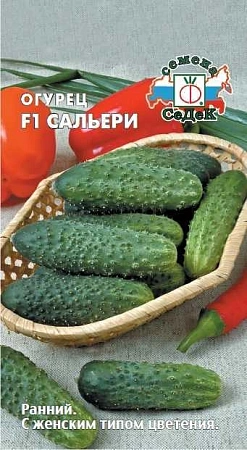 Огурец Сальери F1, 8 шт (СеДек) Огурец Сальери F1, 8 шт (СеДек)