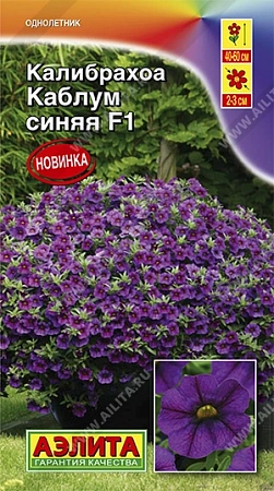 Калибрахоа Каблум F1 синяя 3 шт
